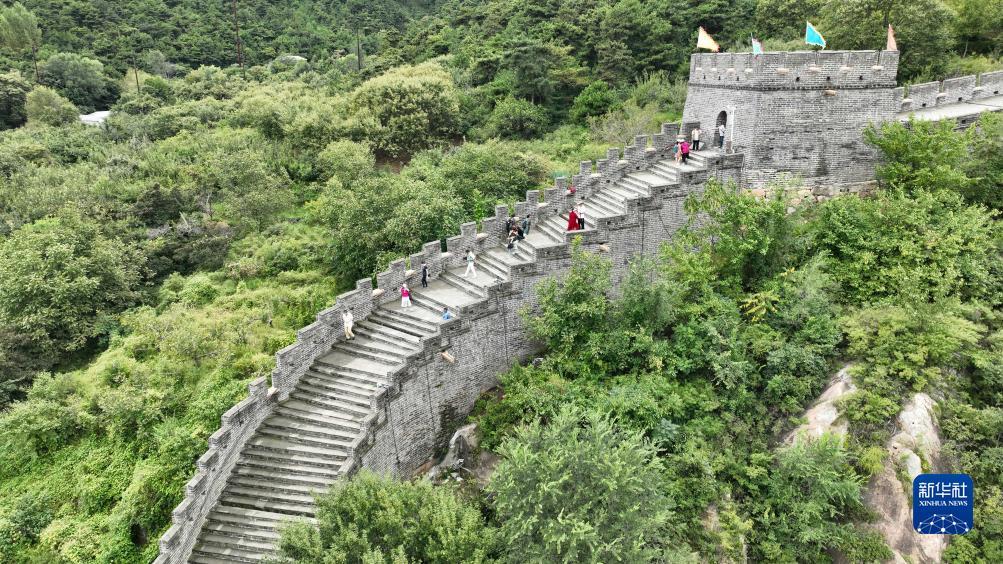 龙和虎软件